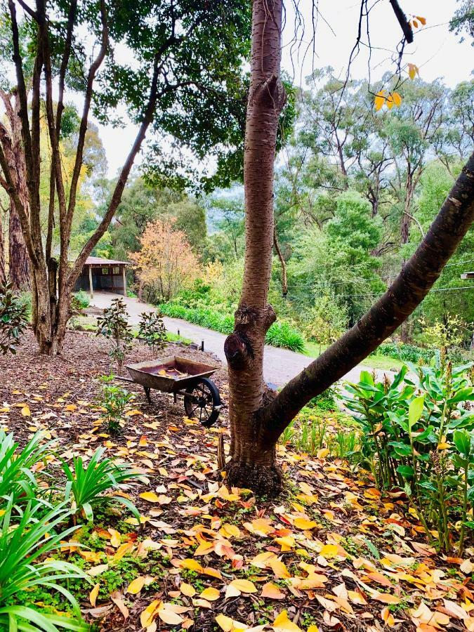 Emerald Star Cottages Esterno foto